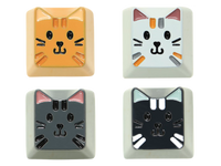 All 4 Cats (DISCOUNT)